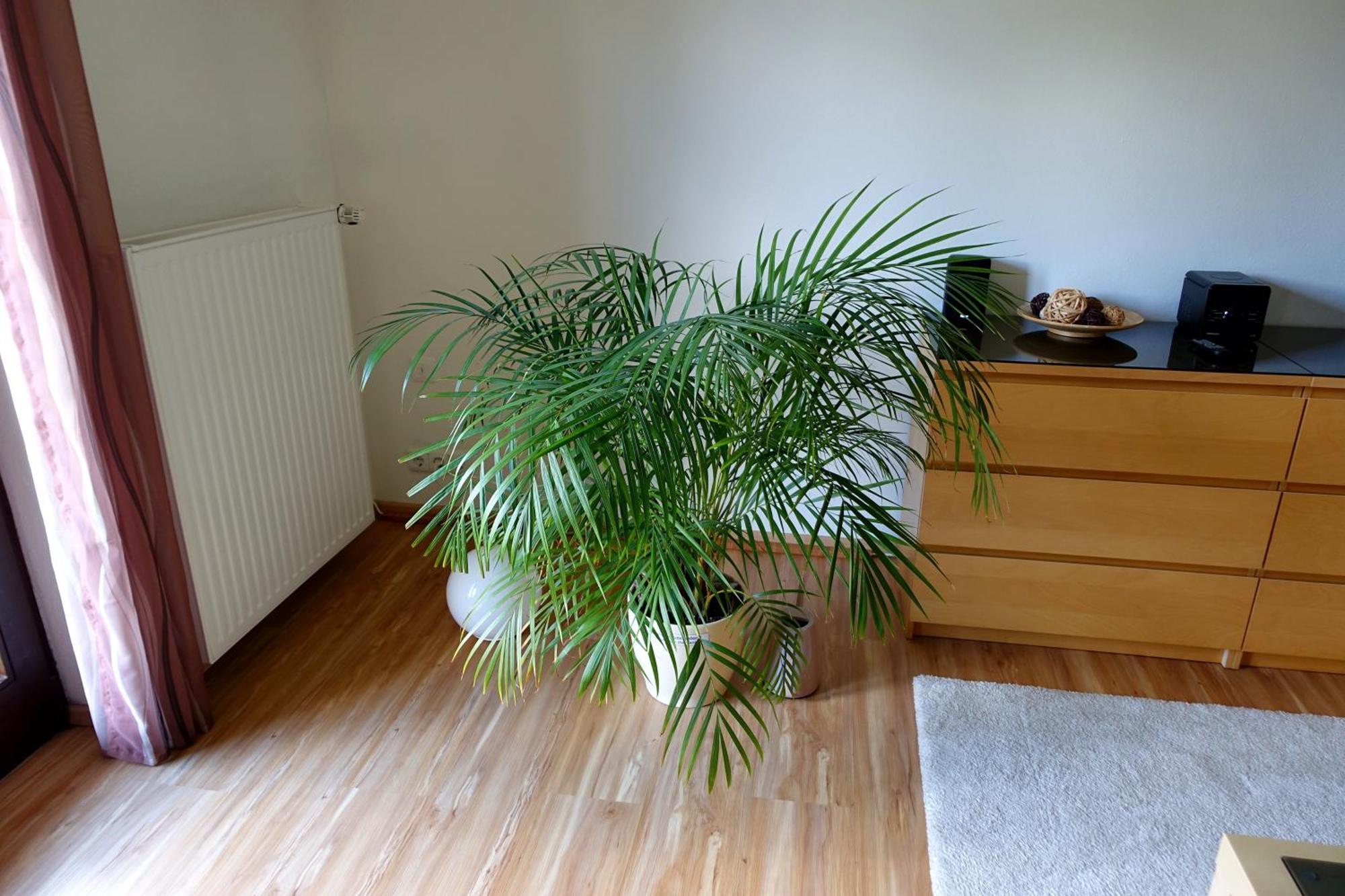 Ferienwohnung Ariane Гармиш-Партенкирхен Екстериор снимка